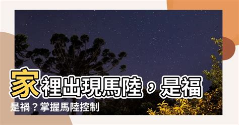 家裡出現馬陸風水|【家裡有馬路代表什麼】家裡有馬陸代表什麼？這裡有你必知的跡。